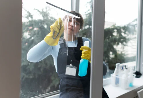 Nettoyage de vitres intérieures et extérieures à Ibos
